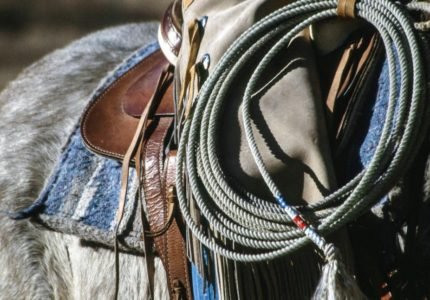 Rancho Rio – Team Roping Capital Of The World