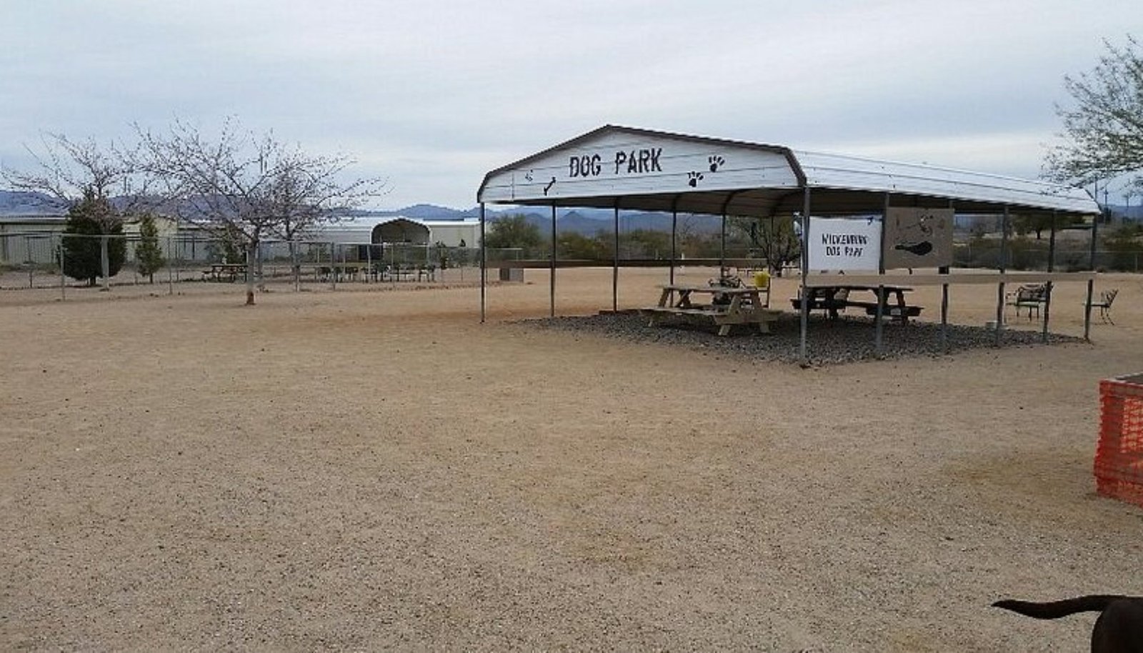 Wickenburg Social Wickenburg Dog Park
