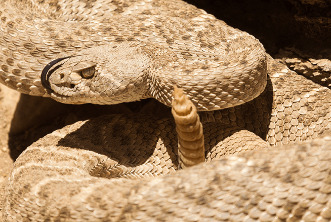 Sunset Park Wickenburg Social