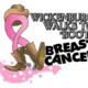 Wickenburg Walks To Boot Breast Cancer