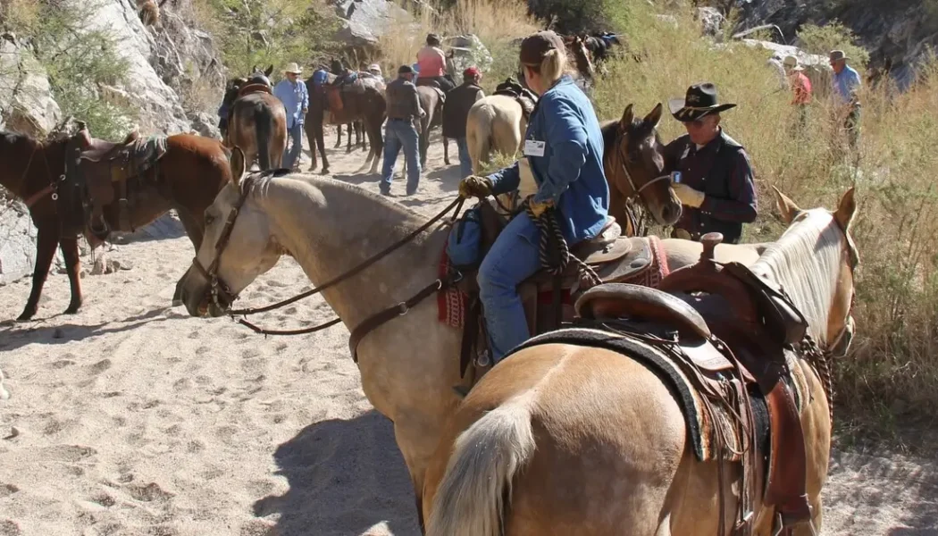 Wickenburg Social Amigos Trail Ride & Drive