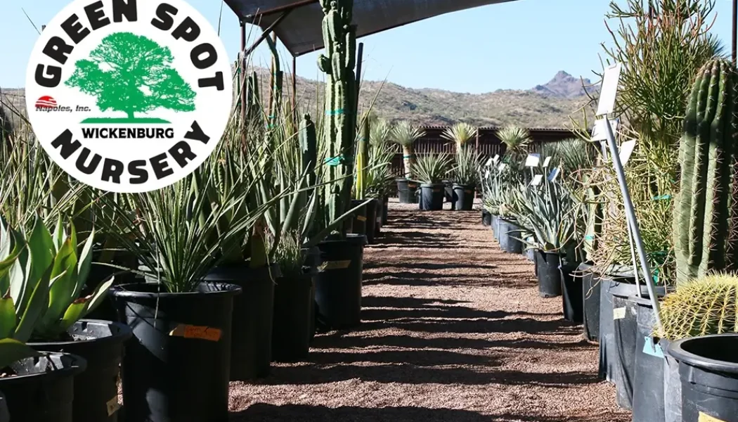 Green Spot Nursery Hero