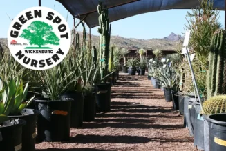 Green Spot Nursery Hero