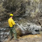 Wickenburg Social Monarch Fire Foam