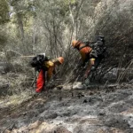 Wickenburg Social Monarch Fire Men at Work