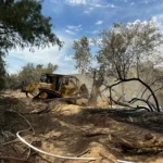 Dozer pushing over a burned, hazard tree. Credit: AZDFFM PIO