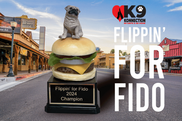 Flippin For Fido Copy