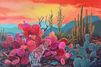Spectacular Arizona Weather Header