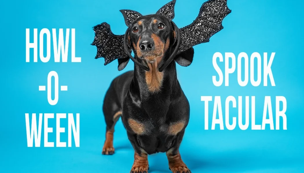 Howl-O-Ween Spooktacular