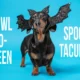 Howl-O-Ween Spooktacular