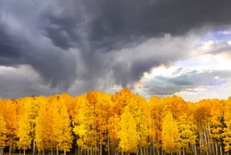 PPlummer_Fall_Storm_over_Aspens_1322175191_198341769 copy