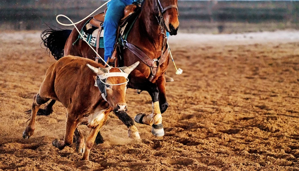 The Team Roping Capital of the World Rides Again
