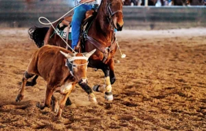 The Team Roping Capital of the World Rides Again