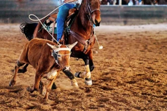 The Team Roping Capital of the World Rides Again