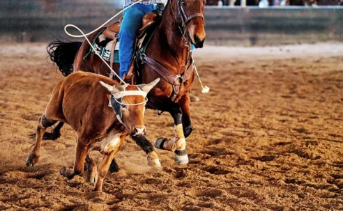 The Team Roping Capital of the World Rides Again