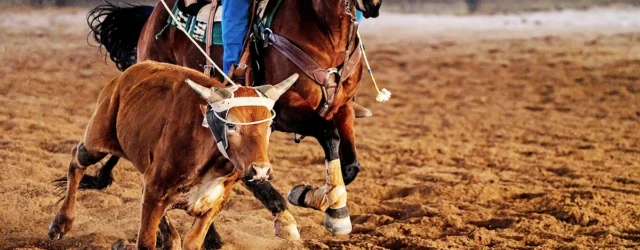 The Team Roping Capital of the World Rides Again