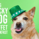 Lucky Dog Buffet Breakfast_wickenburg social