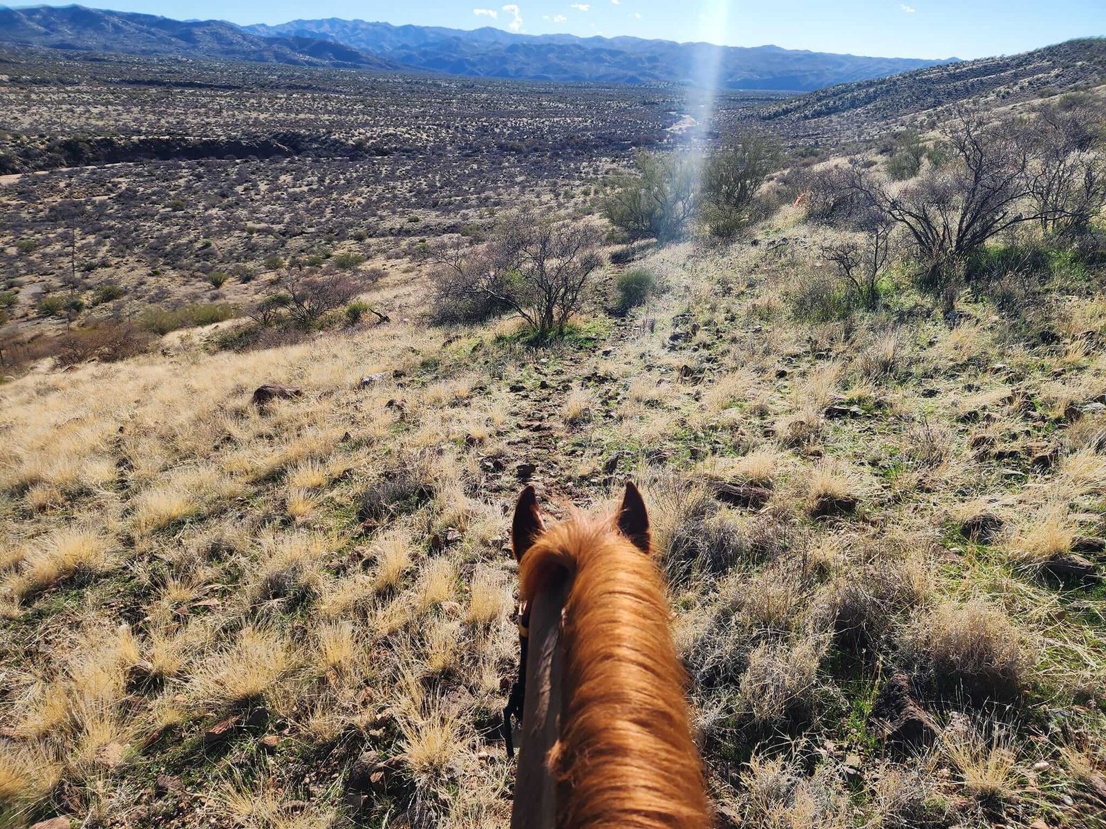 2026 Land of the Sun Endurance Ride Boyd Ranch