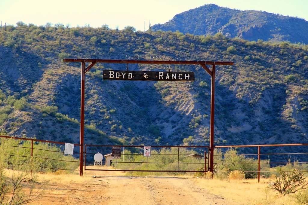 Boyd Ranch Mule Days Wickenburg Social