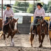 Art Of The Cowgirl Wickenburg Social