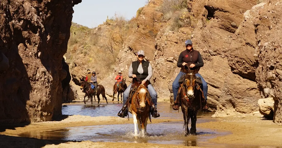 Boyd Ranch Mule Days_Wickenburg Social