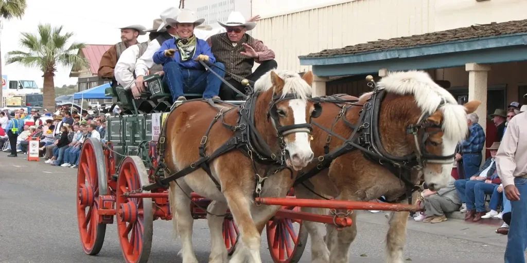 Gold Rush Days Wickenburg