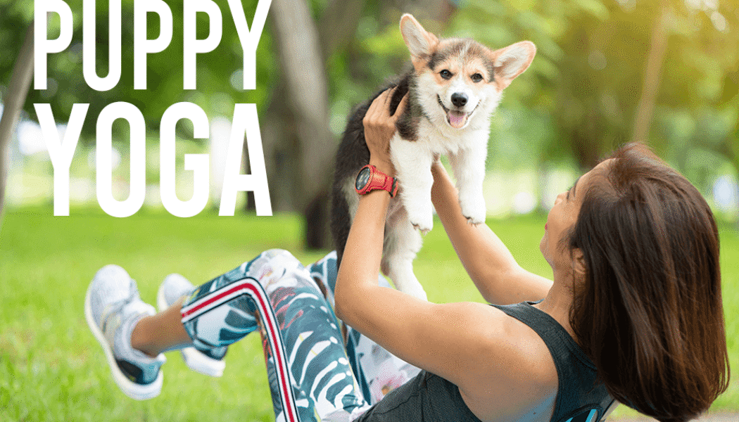 Puppy yoga At Rancho Caballeros