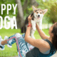 Puppy yoga At Rancho Caballeros