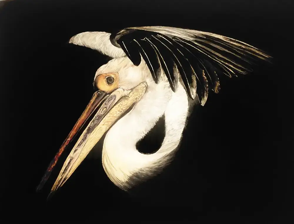 Mr. Miyagi In Pastel_wickenburg Social