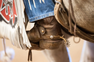 Things To Do in April in Wickenburg_wickenburg social copy