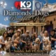 Diamond-Dogs_featured_K9-Konnection_wickenburg Social
