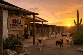 K9 Konnection Kompound Wickenburg Social