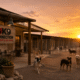 K9 Konnection Kompound Wickenburg Social