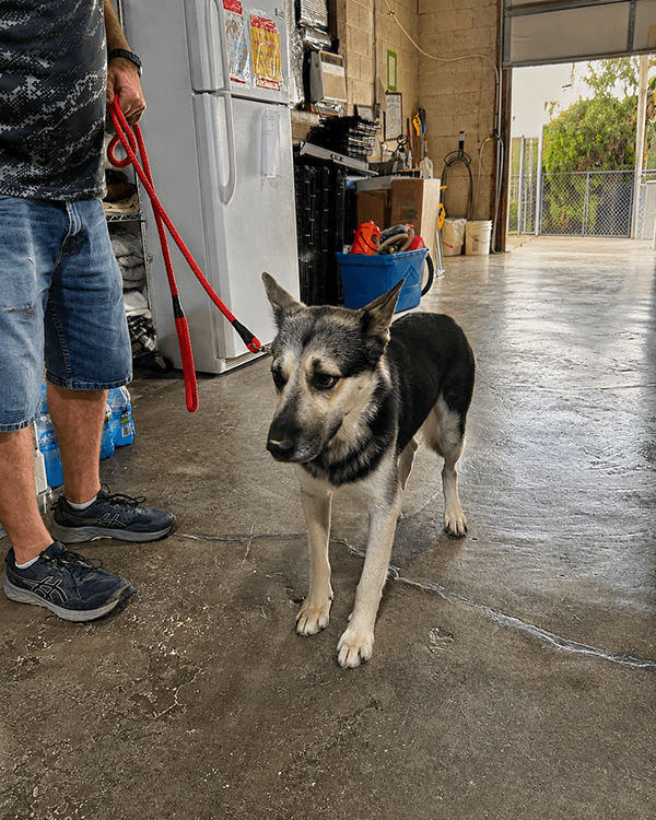 Mack 2_Wickenburg Social