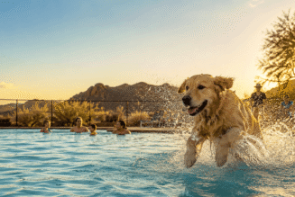 Dog Days Of Summer In Wickenburg_Wickenburg Social