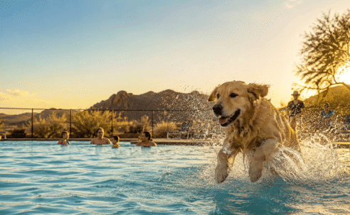 Dog Days Of Summer In Wickenburg_Wickenburg Social