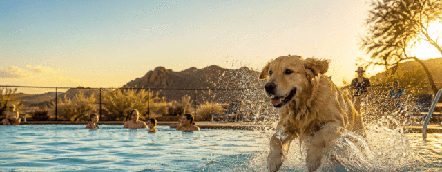 Dog Days Of Summer In Wickenburg_Wickenburg Social