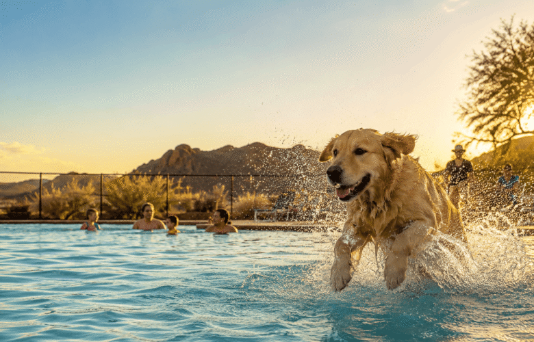 Dog Days Of Summer In Wickenburg_Wickenburg Social