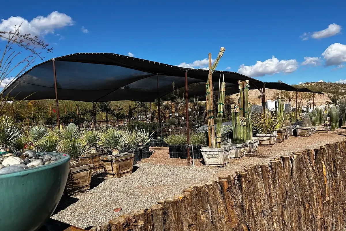 GreenSpot Nursery in Wickenburg