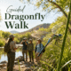 A colorful dragonfly near the water at Hassayampa River Preserve while visitors join a guided nature walk.