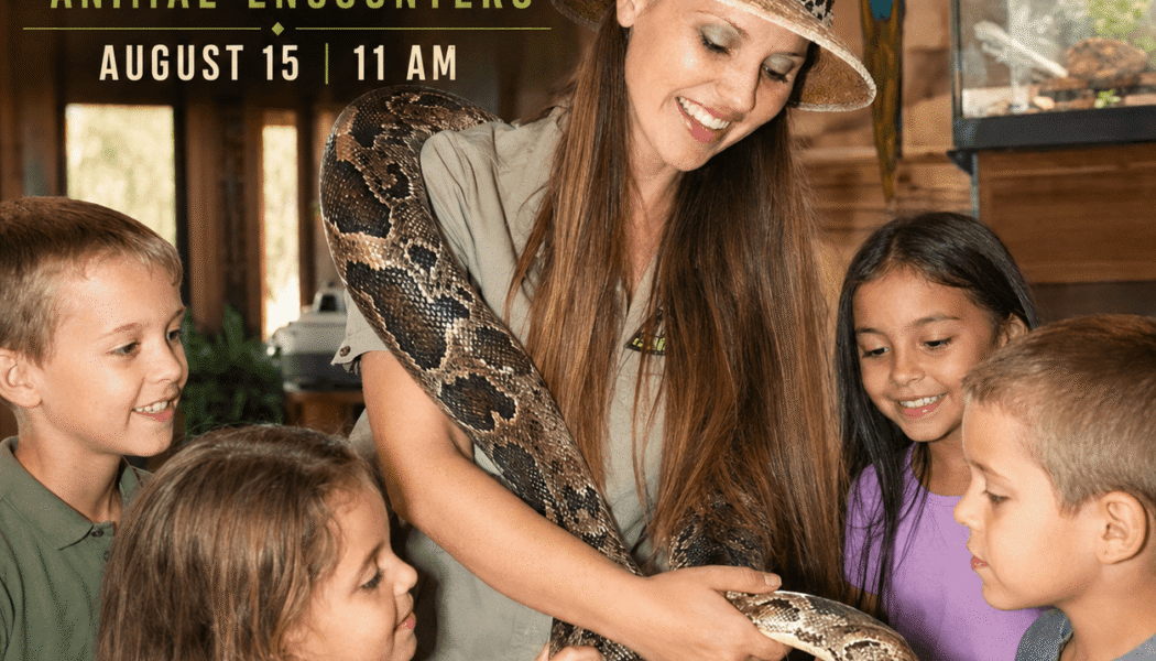 Jungle Jill animal encounters_Wickenburg Social