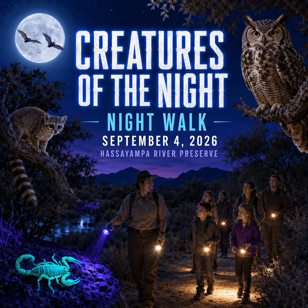 Moonlit Creatures of the Night Walk_Wickenburg Social