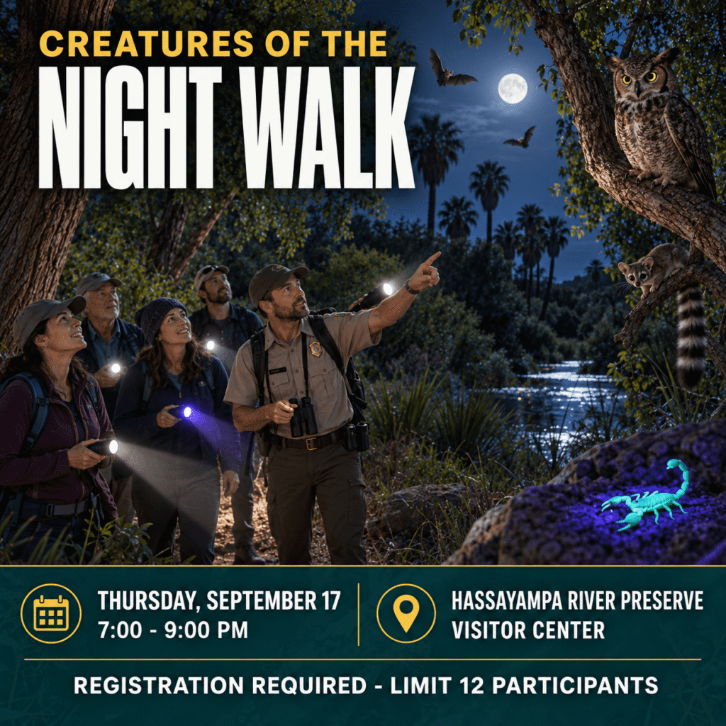 Ranger-led Creatures of the Night Walk at Hassayampa River Preserve in Wickenburg