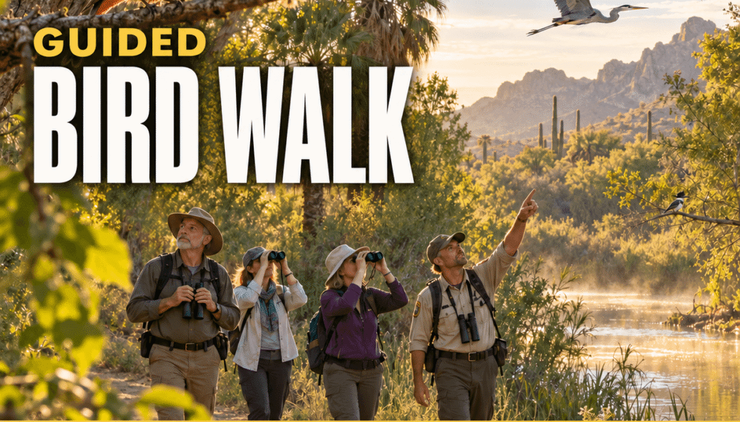 Guided Bird Walk at Hassayampa River Preserve_Wickenburg Social