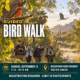Guided Bird Walk at Hassayampa River Preserve_Wickenburg Social
